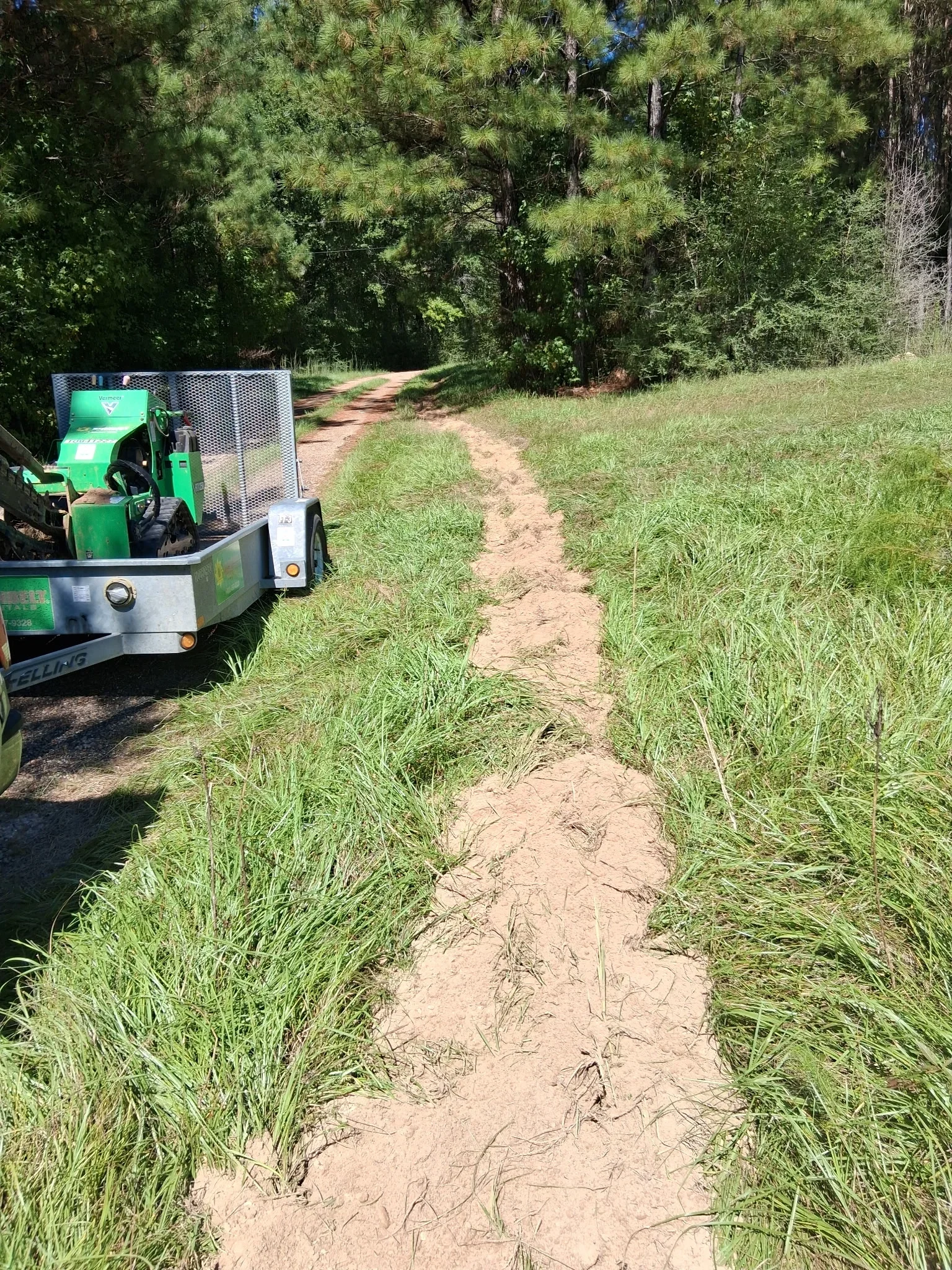 Green Vermeer compact track loader on a galvanized trailer beside a cleared sandy trail through grassy field with pine trees