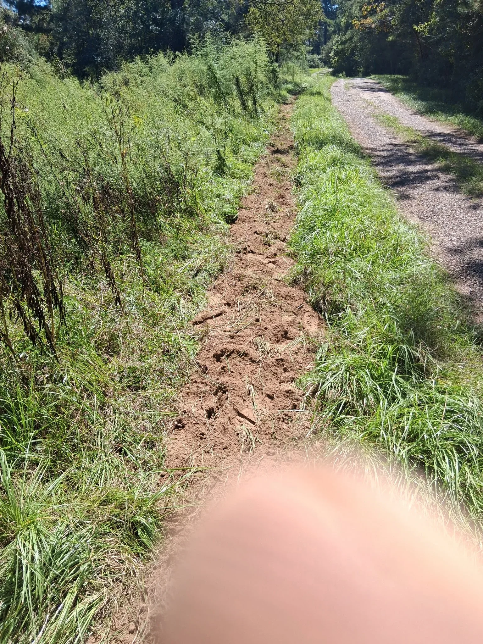 Narrow trench of exposed red clay soil cleared through tall grass beside a gravel road